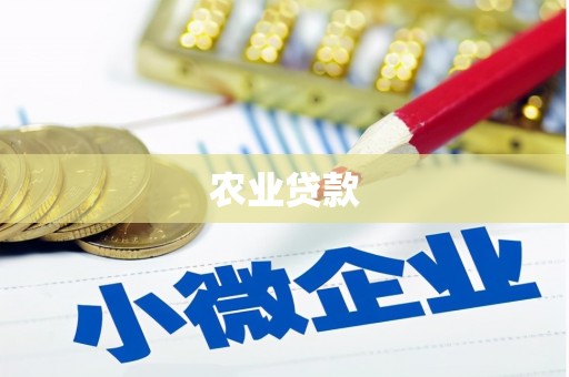 虞城农业贷款