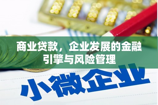 虞城商业贷款，企业发展的金融引擎与风险管理