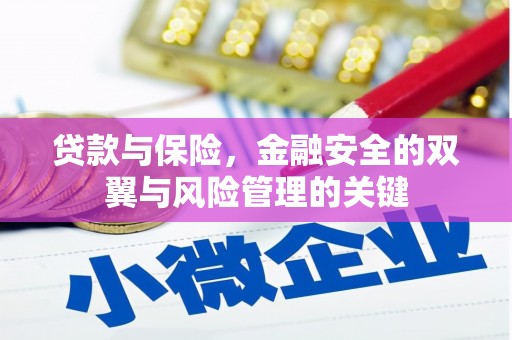 虞城贷款与保险，金融安全的双翼与风险管理的关键