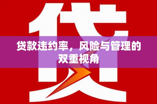 虞城贷款违约率，风险与管理的双重视角