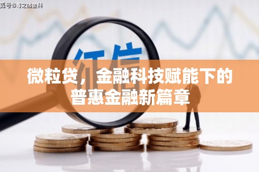 虞城微粒贷，金融科技赋能下的普惠金融新篇章