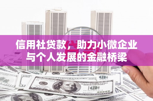 虞城信用社贷款，助力小微企业与个人发展的金融桥梁