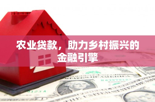 虞城农业贷款，助力乡村振兴的金融引擎