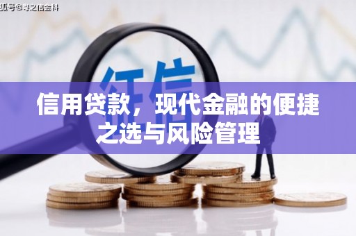 虞城信用贷款，现代金融的便捷之选与风险管理