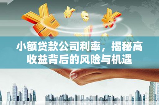 虞城小额贷款公司利率，揭秘高收益背后的风险与机遇