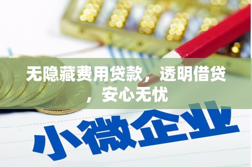 虞城无隐藏费用贷款，透明借贷，安心无忧