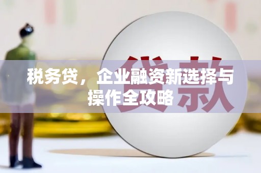 虞城税务贷，企业融资新选择与操作全攻略