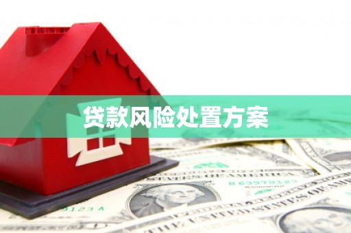 虞城贷款风险处置方案