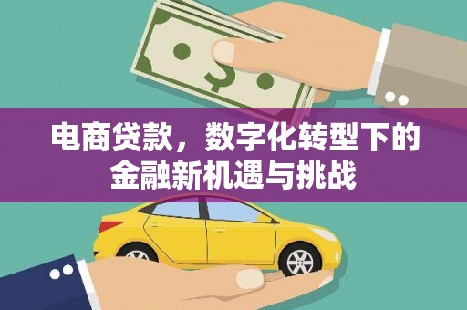 虞城电商贷款，数字化转型下的金融新机遇与挑战