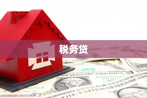 虞城税务贷