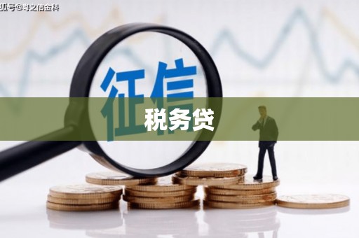 虞城税务贷