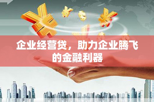 虞城企业经营贷，助力企业腾飞的金融利器