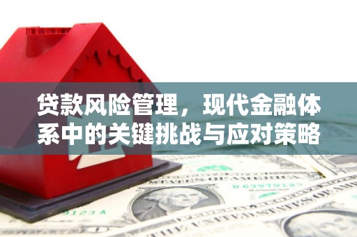 虞城贷款风险管理，现代金融体系中的关键挑战与应对策略