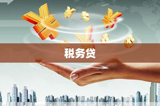 虞城税务贷