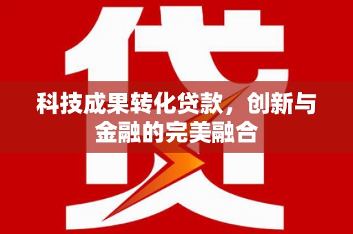 虞城科技成果转化贷款，创新与金融的完美融合