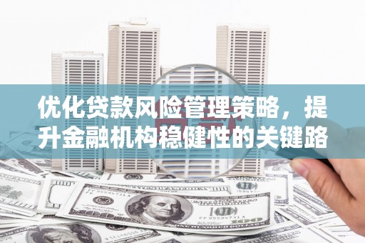 虞城优化贷款风险管理策略，提升金融机构稳健性的关键路径