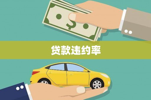 虞城贷款违约率