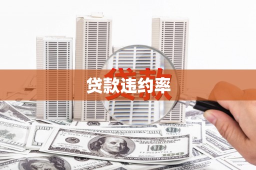 虞城贷款违约率