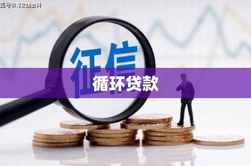 虞城循环贷款