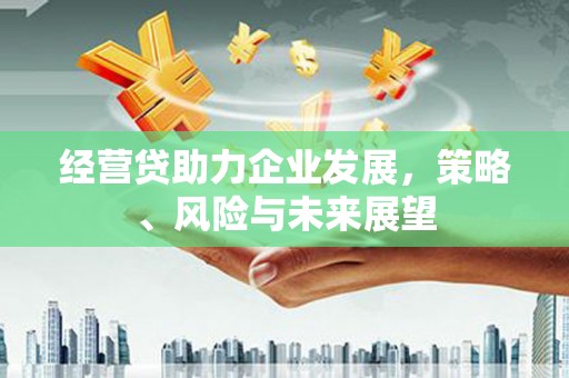 虞城经营贷助力企业发展，策略、风险与未来展望