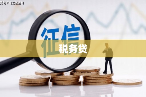 虞城税务贷