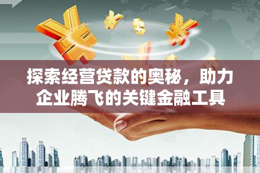虞城探索经营贷款的奥秘，助力企业腾飞的关键金融工具