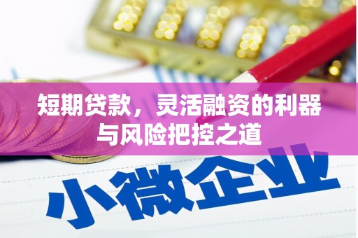 虞城短期贷款，灵活融资的利器与风险把控之道