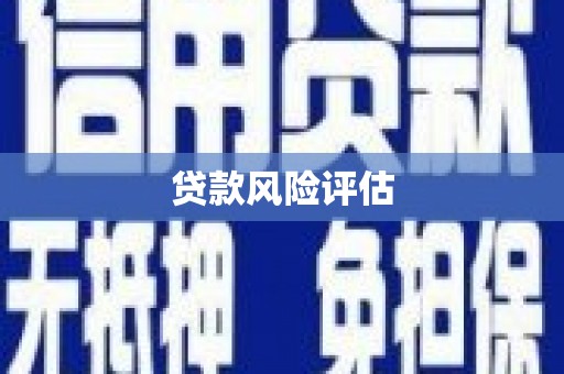 虞城贷款风险评估