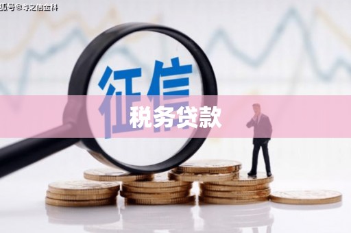 虞城税务贷款