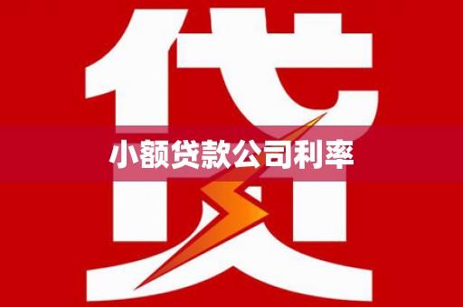 虞城小额贷款公司利率