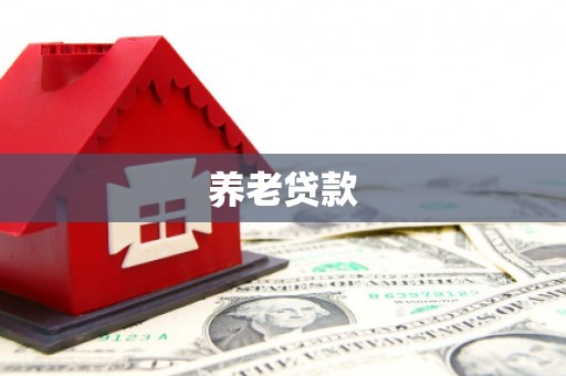 虞城养老贷款