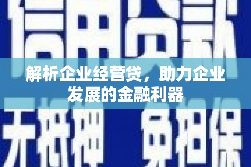 虞城解析企业经营贷，助力企业发展的金融利器
