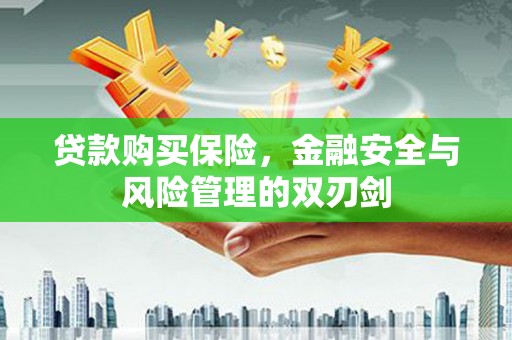 虞城贷款购买保险，金融安全与风险管理的双刃剑