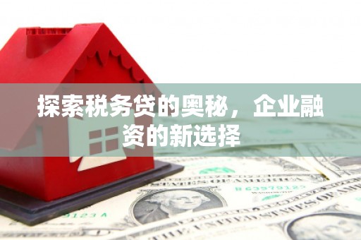 虞城探索税务贷的奥秘，企业融资的新选择