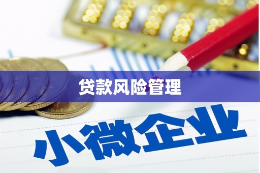 虞城贷款风险管理
