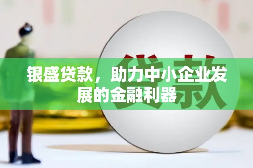虞城银盛贷款，助力中小企业发展的金融利器