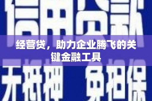 虞城经营贷，助力企业腾飞的关键金融工具
