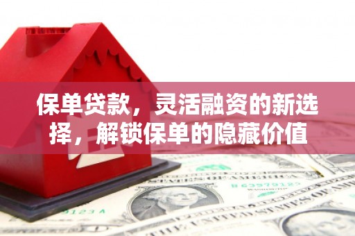 虞城保单贷款，灵活融资的新选择，解锁保单的隐藏价值