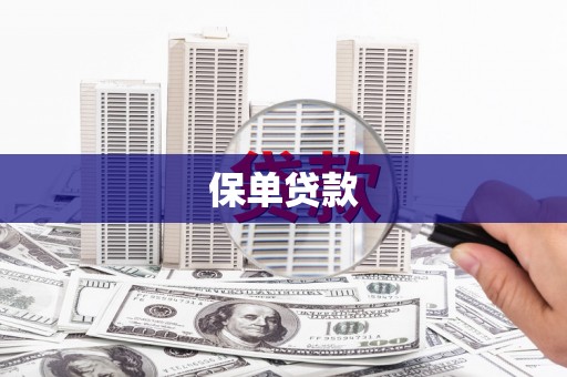 虞城保单贷款