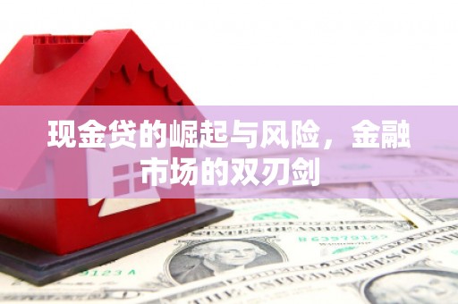 虞城现金贷的崛起与风险，金融市场的双刃剑