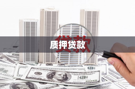 虞城质押贷款