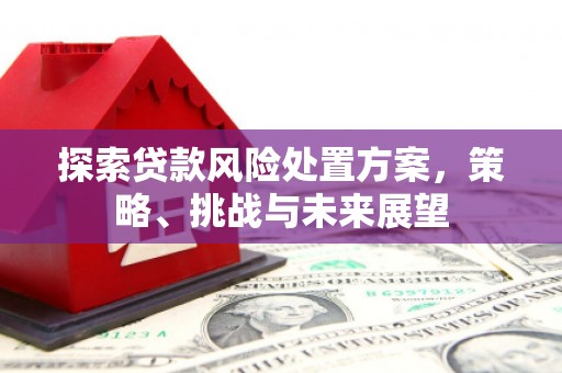 虞城探索贷款风险处置方案，策略、挑战与未来展望