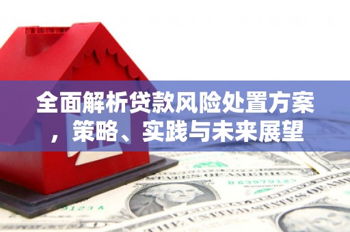 虞城全面解析贷款风险处置方案，策略、实践与未来展望