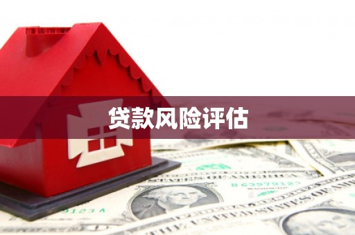 虞城贷款风险评估