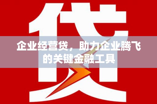 虞城企业经营贷，助力企业腾飞的关键金融工具