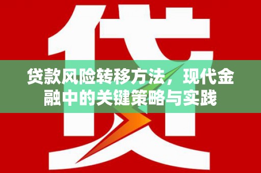 虞城贷款风险转移方法，现代金融中的关键策略与实践