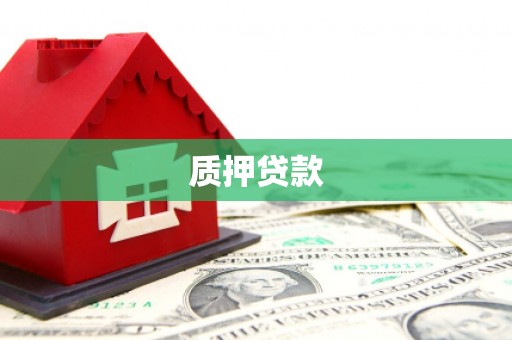 虞城质押贷款