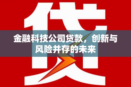 虞城金融科技公司贷款，创新与风险并存的未来