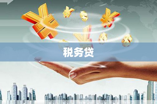 虞城税务贷