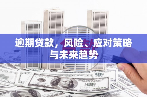虞城逾期贷款，风险、应对策略与未来趋势